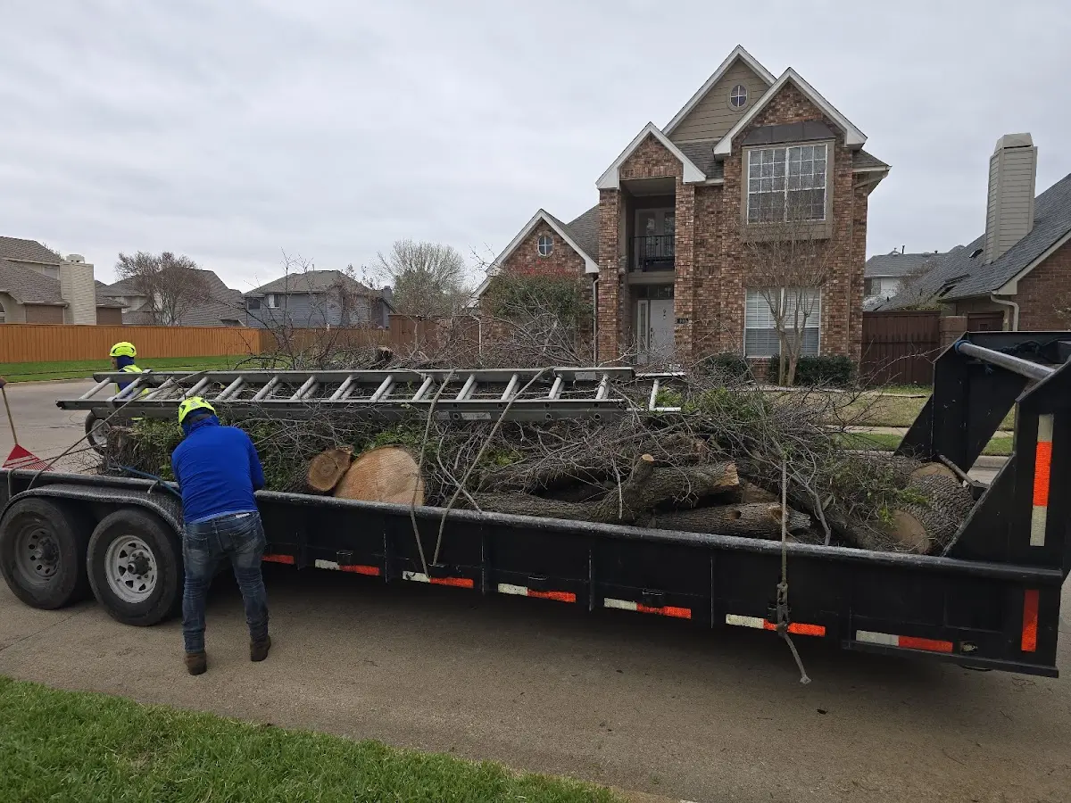 Expert Crown Reduction with proper safety equipment in Morrilton